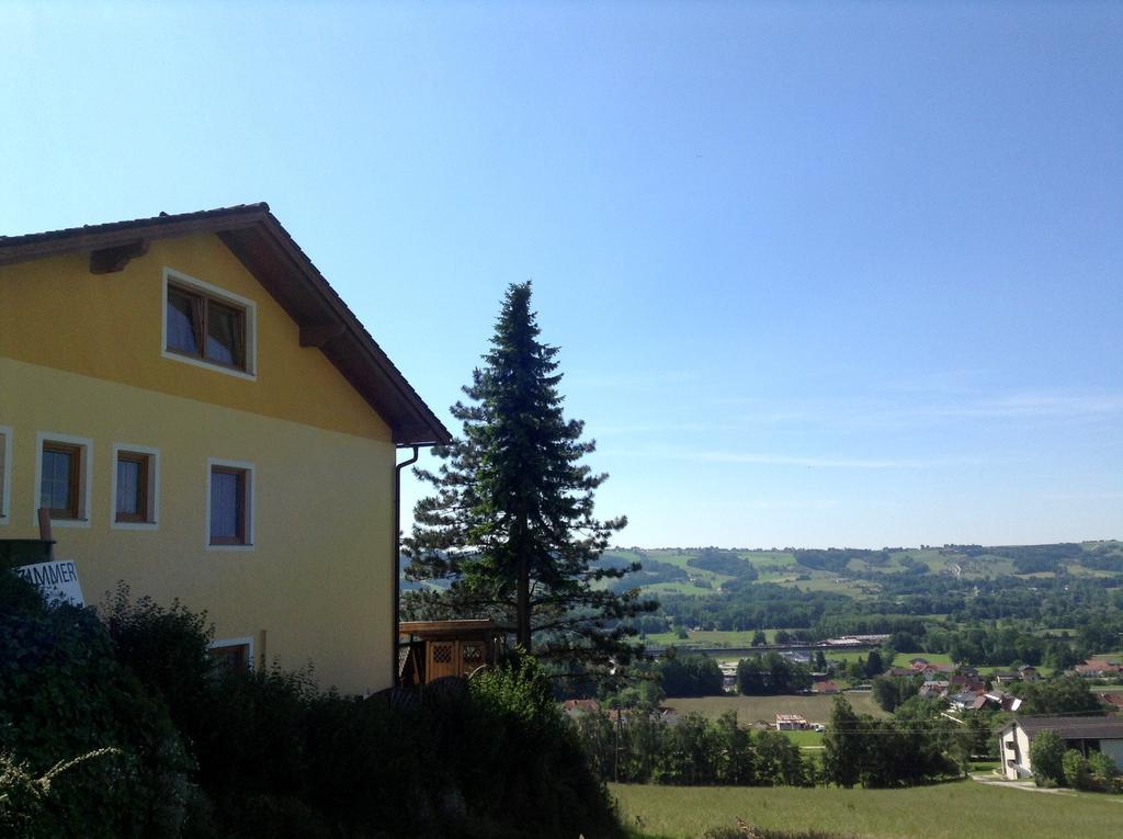 Ferienwohnung Haus Margit Schlierbach Exterior foto